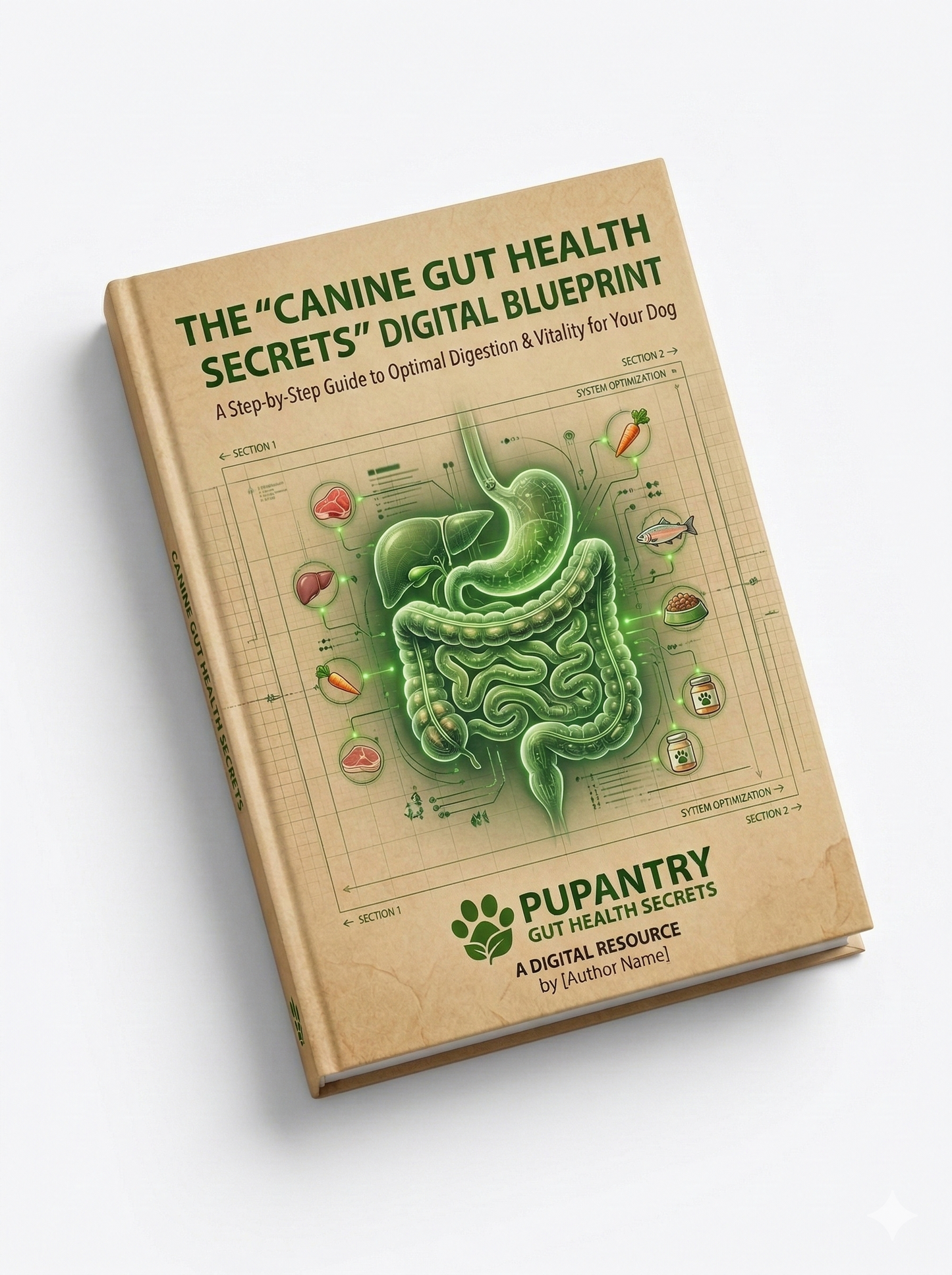 Gut Health Secrets E-Book