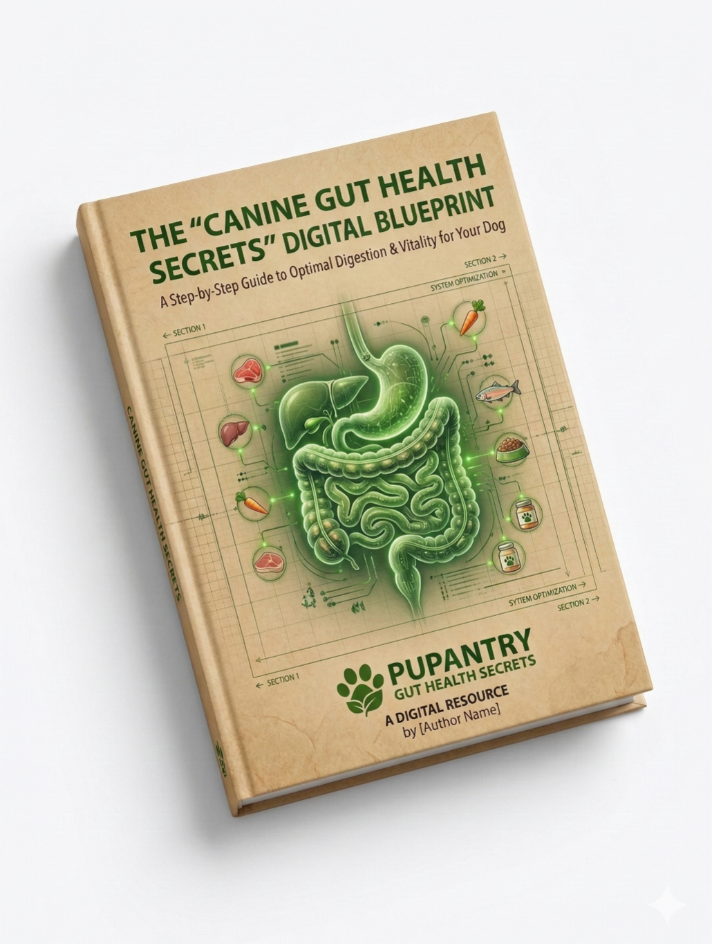 The Happy Gut Handbook