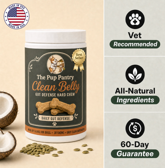 Clean Belly™ Gut Defense Hard Chew