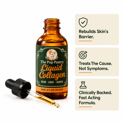 Pup Pantry Liquid Collagen Drops: rebuilds skin's barrier, treats the cause not symptoms, fast acting formula