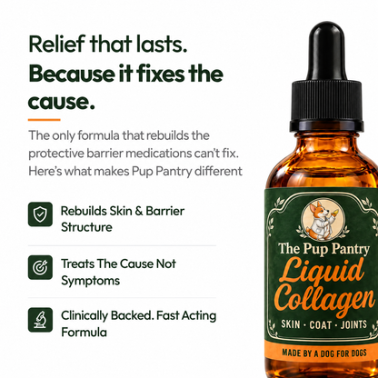 Relief that lasts because it fixes the cause: what makes Pup Pantry Liquid Collagen different