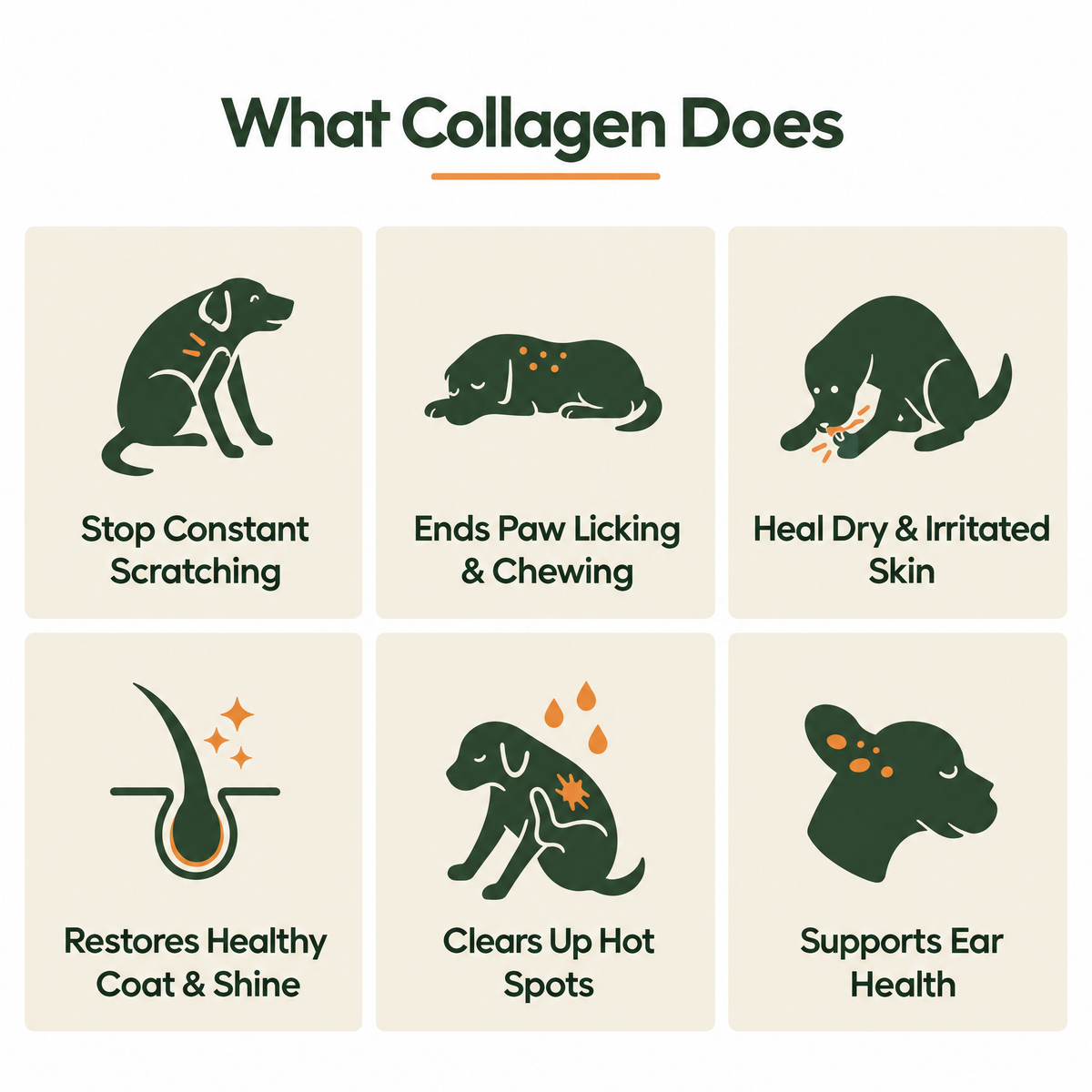 What collagen does: scratching, paw licking, dry skin, coat and shine, hot spots, ear health